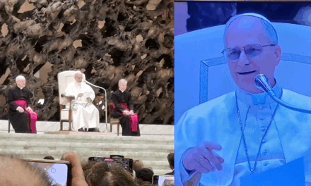 Città del Vaticano. Sala Nervi. Papa Leone XIV ha incontrato i giornalisti